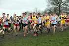 Senior boys 2019 New Balance English Schools Cross Country Champs, Temple Newsam, Leeds. Photo:  David T. Hewitson/Sports for All Pics